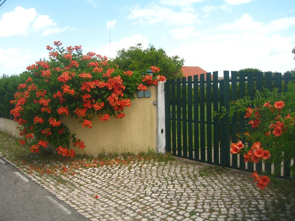 Casa Das Andorinhas Bed & Breakfast Palmela Exterior photo